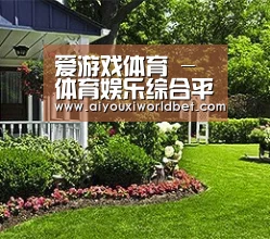 爱游戏体育 - 体育娱乐综合平台
